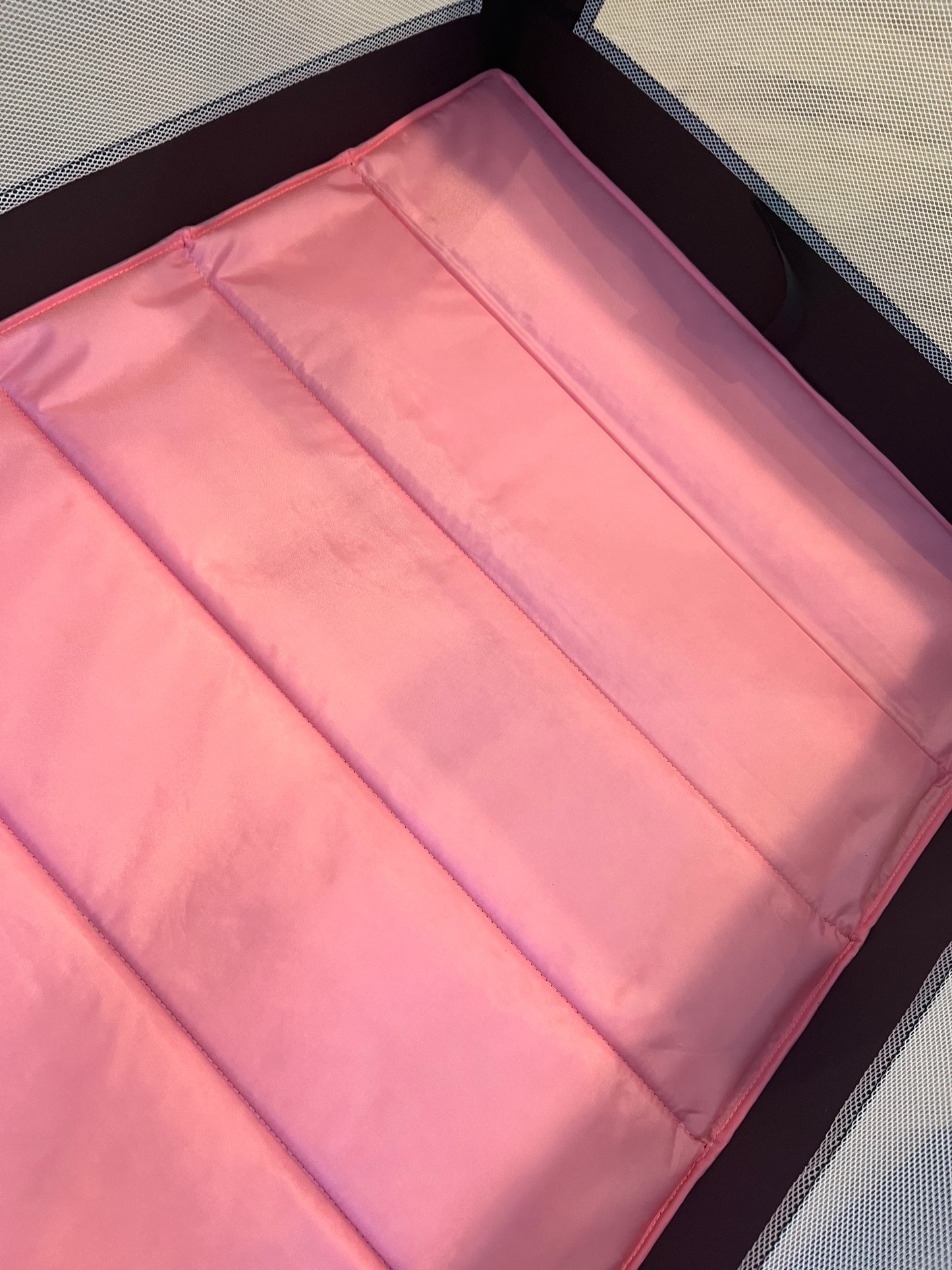 Dream On Me Zazzy Portable Playard with Bassinet - Pink (Gently Used)